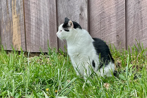 TTT-Hemmes-Greeneville-TN-01