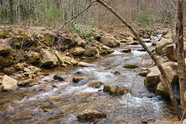 TTT-Maragarette-Falls-Trail-Greene-County-TN-01