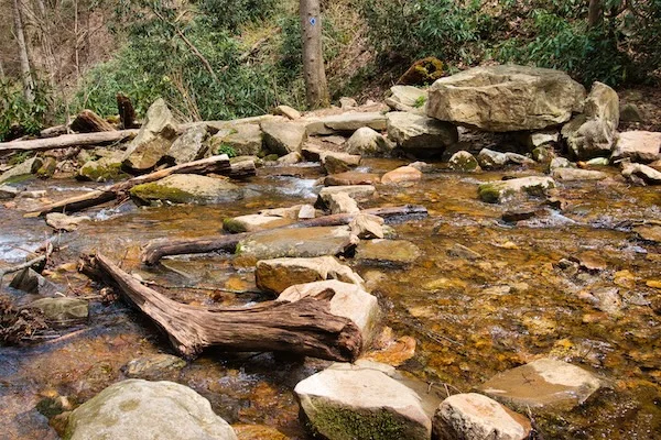 TTT-Maragarette-Falls-Trail-Greene-County-TN-03