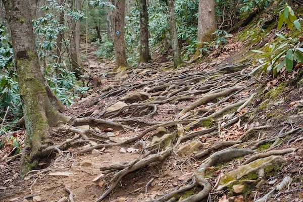 TTT-Maragarette-Falls-Trail-Greene-County-TN-04