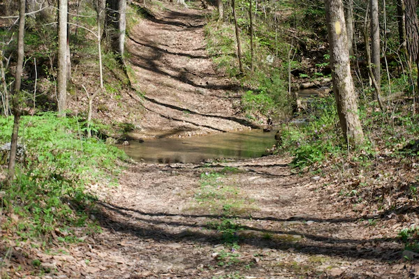 TTT-Meadow-Creek-Mountain-Trail-Chuckey-Mountain-01