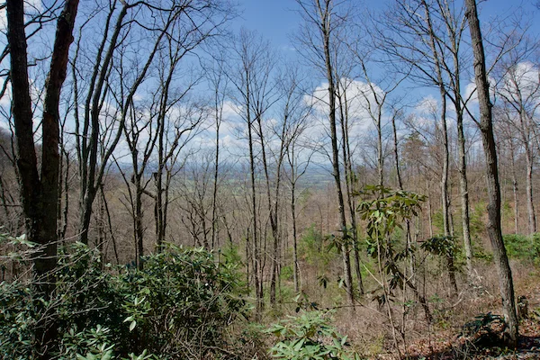 TTT-Meadow-Creek-Mountain-Trail-Chuckey-Mountain-04