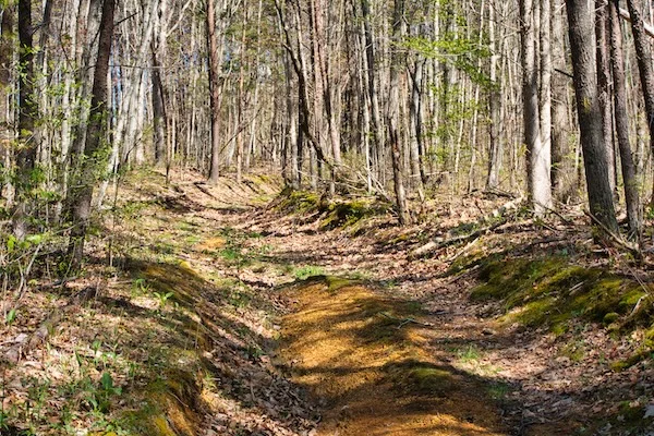 TTT-Meadow-Creek-Mountain-Trail-Chuckey-Mountain-05