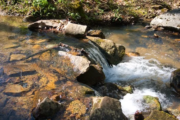 TTT-Meadow-Creek-Mountain-Trail-Chuckey-Mountain-06