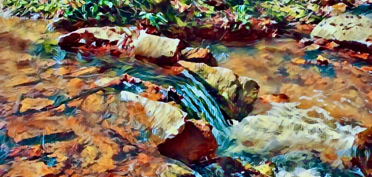 Meadow Creek Mountain Trail Hike