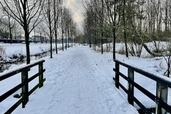 TTT-Park-Oudegein-01