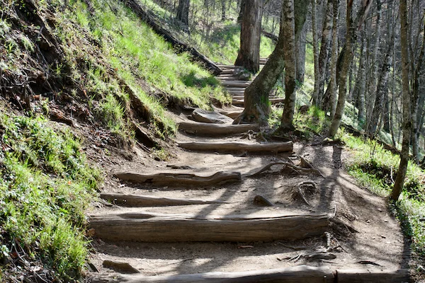 TTT-Smoky-Mountains-NP-Charlies-Bunion-02