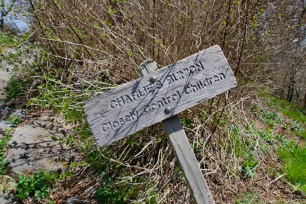 TTT-Smoky-Mountains-NP-Charlies-Bunion-05
