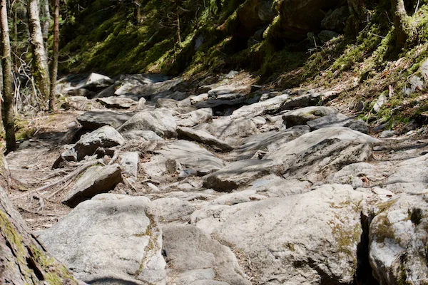 TTT-Smoky-Mountains-NP-Charlies-Bunion-08