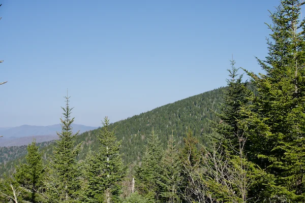 TTT-Smoky-Mountains-NP-Kuwohi-View-02
