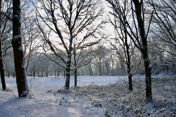 TTT-Snow-in-Utrecht-04