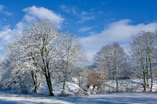 TTT-Snow-in-Utrecht-05
