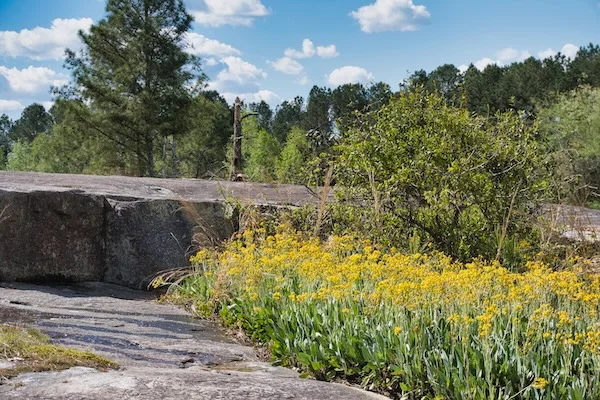 TTT-Stone-Mountain-Park-01