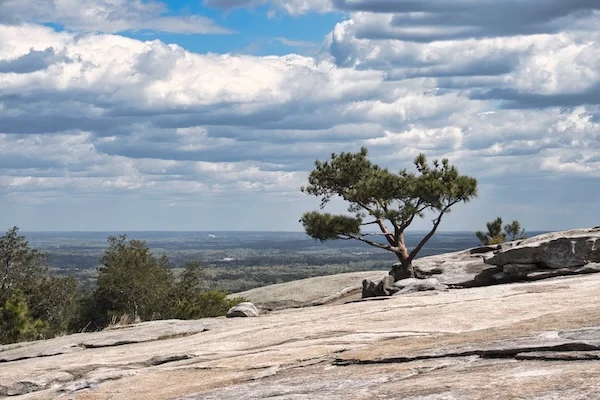 TTT-Stone-Mountain-Park-04