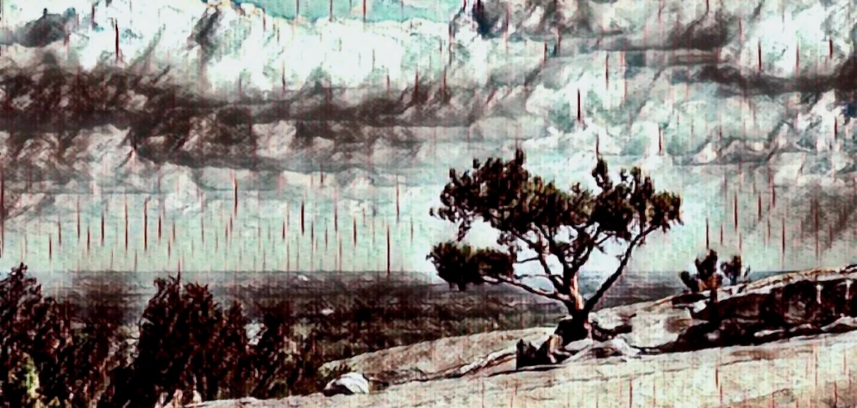 A Day of Discovery on Stone Mountain