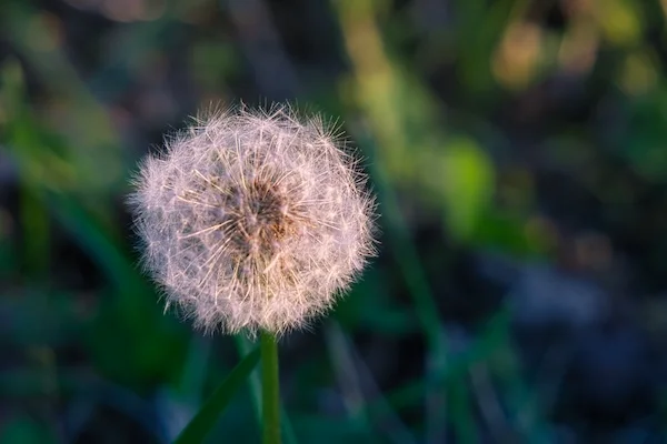 TTT-Sunset-Greenville-TN-01