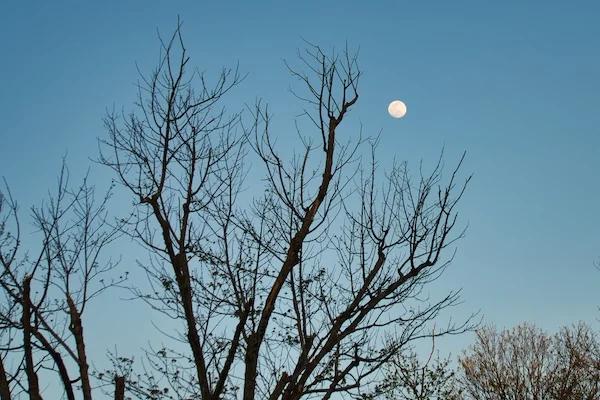 TTT-Sunset-Greenville-TN-03