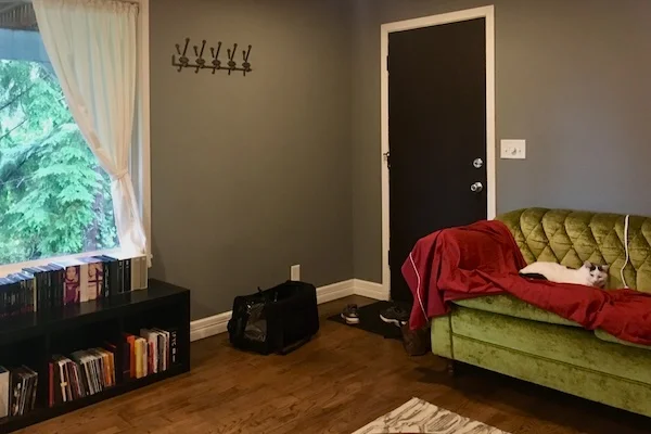 TTT-Airbnb-West-Seattle-WA-03