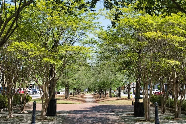 TTT-Antebellum Trail-Macon-GA-02