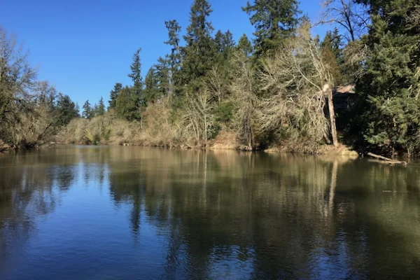 TTT-Browns-Ferry-Park-Tualatin-OR-03