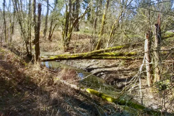 TTT-Browns-Ferry-Park-Tualatin-OR-04