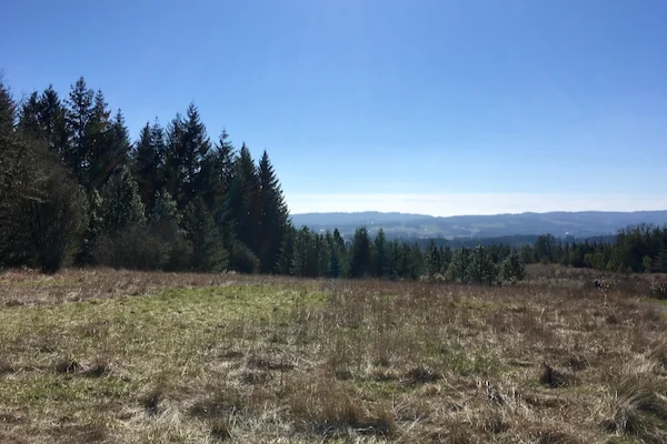 TTT-Cooper-Mountain-Nature-Park-01