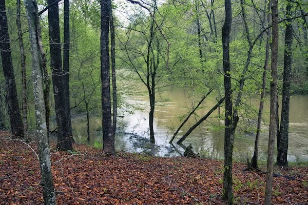 TTT-Georgia-International-Horse-Park-01