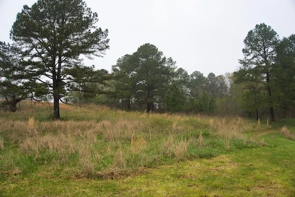 TTT-Georgia-International-Horse-Park-02
