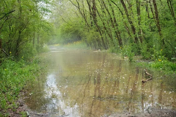 TTT-Georgia-International-Horse-Park-04
