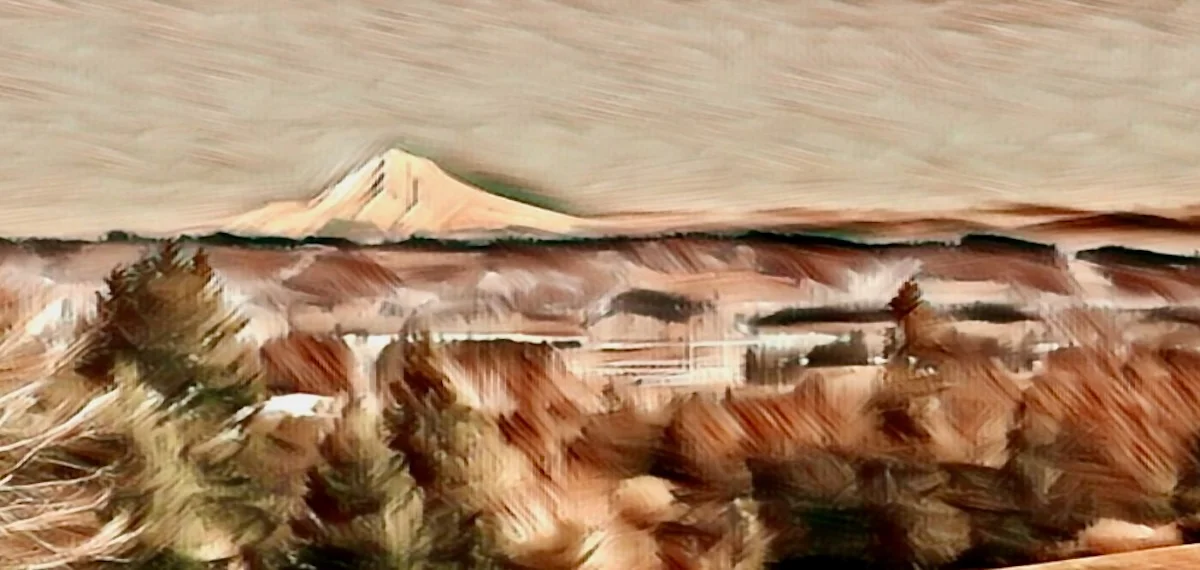 Another Day in The Hillsboro Area