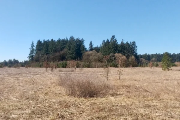 TTT-Graham-Oaks-NP-Wilsonville-OR-01