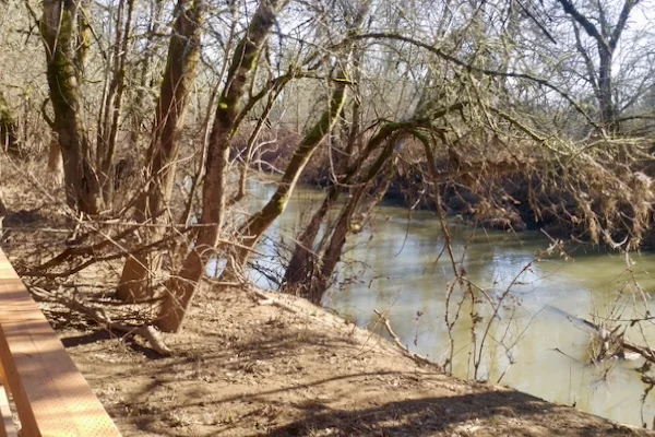 TTT-Jackson-Bottom-Wetlands-Hillsboro-OR-01