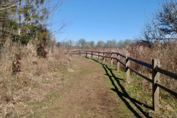 TTT-Jackson-Bottom-Wetlands-Hillsboro-OR-02