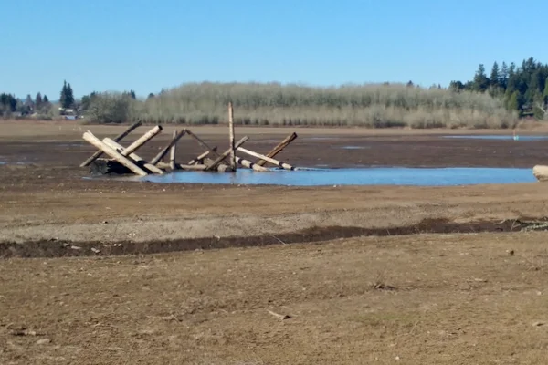 TTT-Jackson-Bottom-Wetlands-Hillsboro-OR-03