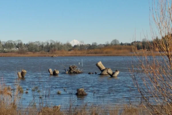 TTT-Jackson-Bottom-Wetlands-Hillsboro-OR-04