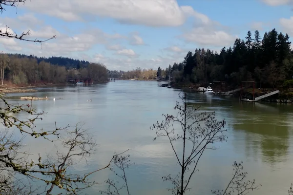 TTT-Lake-Oswego-George-Rogers-Park-02