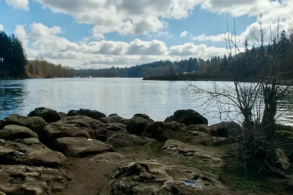 TTT-Mary-S-Young-Park-02