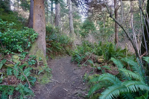 TTT-Oregon-Coast-Trail-Tillamook-Rock Lighthouse-01