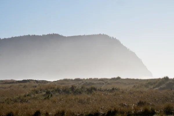 TTT-Oregon-Coast-Trail-Tillamook-Rock Lighthouse-07