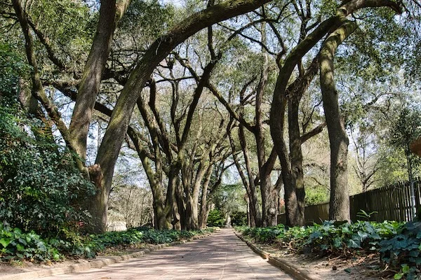 TTT-Aiken-SC-Hopelands-Gardens-01