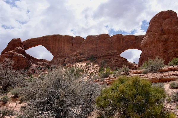 TTT-Arches-NP-Windows-The-Spectacles-01
