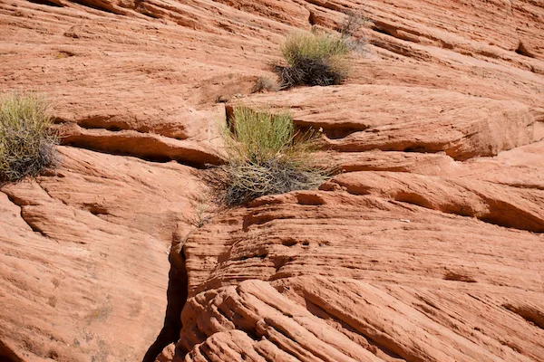 TTT-Buckskin-Gulch-Vermilion-Cliffs-NM-02
