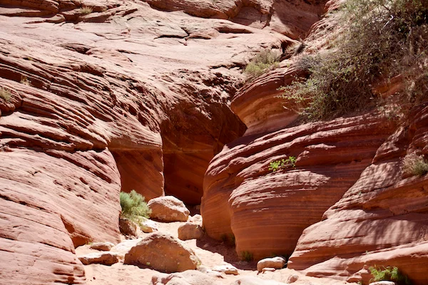 TTT-Buckskin-Gulch-Vermilion-Cliffs-NM-03