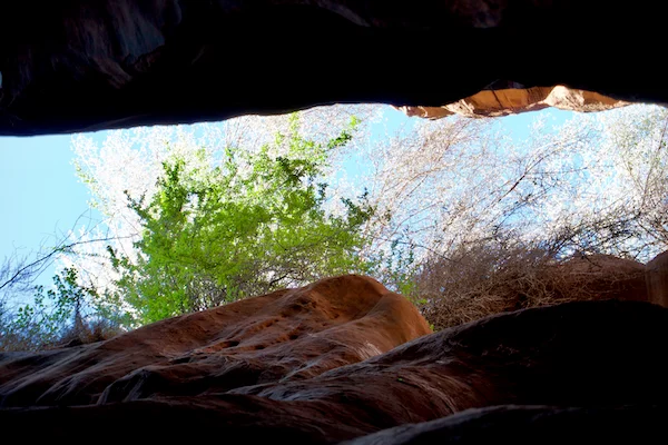 TTT-Buckskin-Gulch-Vermilion-Cliffs-NM-05