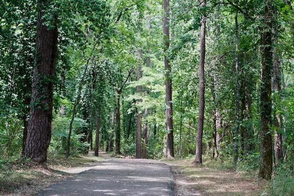 TTT-Clearwater-Lake-Hike-Bike-Trail-01