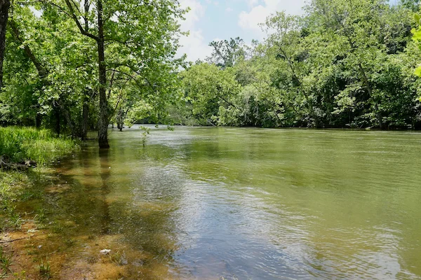 TTT-Clearwater-Lake-Hike-Bike-Trail-02