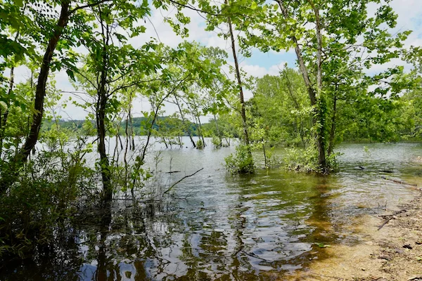 TTT-Clearwater-Lake-Hike-Bike-Trail-03