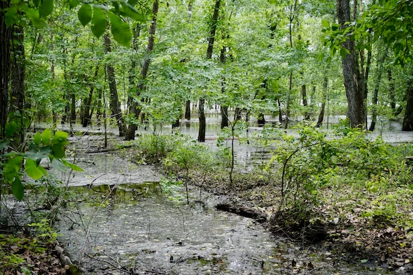 TTT-Clearwater-Lake-Hike-Bike-Trail-04