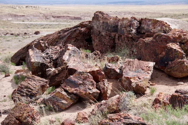 TTT-Giant-Logs-Agate-House-Trails-01