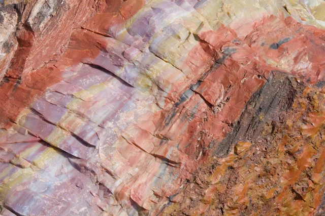 TTT-Giant-Logs-Agate-House-Trails-05